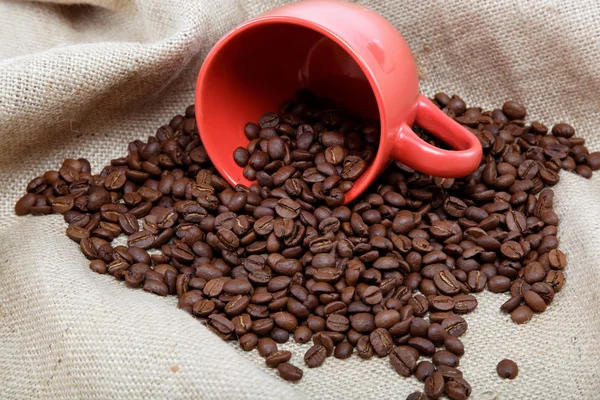 Tasse mit Bohnen Kaffee. — Stockfoto