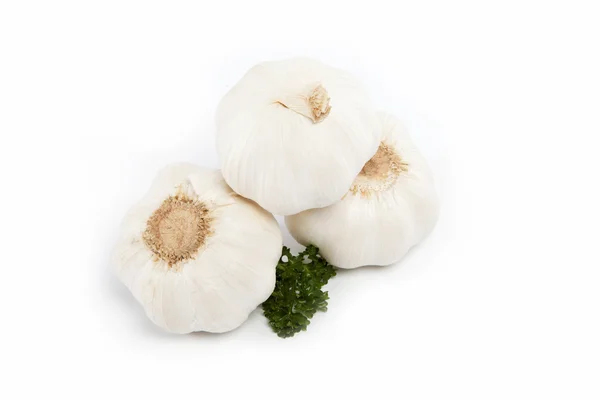 Lampadina di aglio isolata su bianco . — Foto Stock