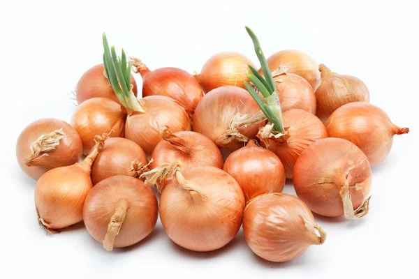 Świeże cebule na białym tle — Zdjęcie stockowe