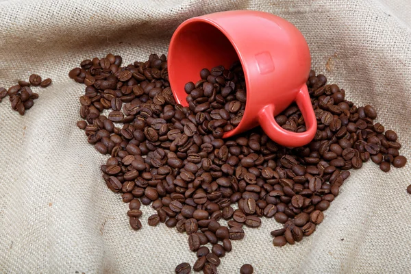 Granos de café con una taza y platillo en el saqueo . —  Fotos de Stock