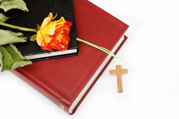 Two books. Holy Bible on white background. — Stock Photo, Image