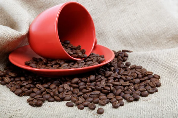 Kaffeebohnen mit Tasse und Untertasse auf dem Teller. — Stockfoto