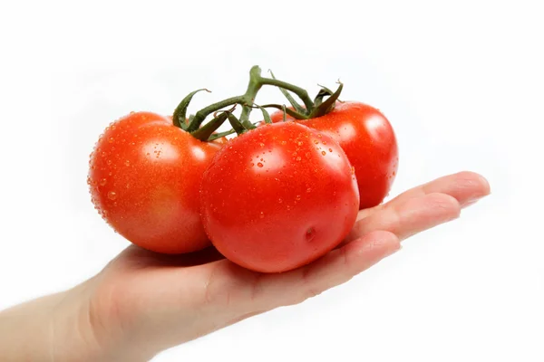 Schöne Frauenhand mit einer frischen Tomate, isoliert auf weiß. — Stockfoto