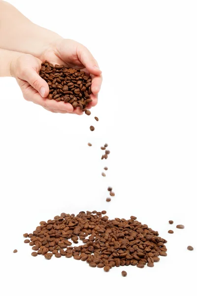 Beautiful woman's hand holding the coffee beans, isolated on whi — Stock Photo, Image