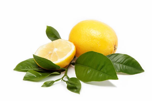 Свежие фрукты. Лимон, изолированный на белом фоне . — стоковое фото