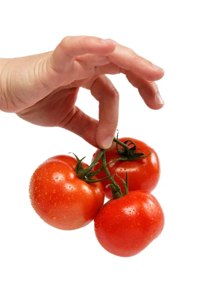 Beautiful woman's hand with a fresh tomato, isolated on white. — Stock Photo, Image