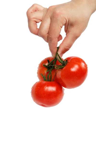 Beautiful woman's hand with a fresh tomato, isolated on white. — Stock Photo, Image
