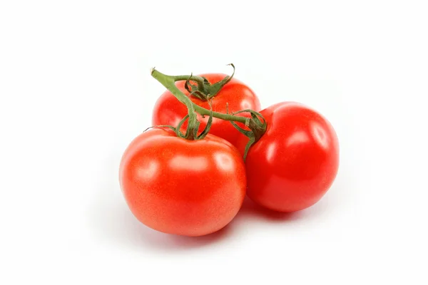 Taze domates, üzerinde beyaz izole. — Stok fotoğraf