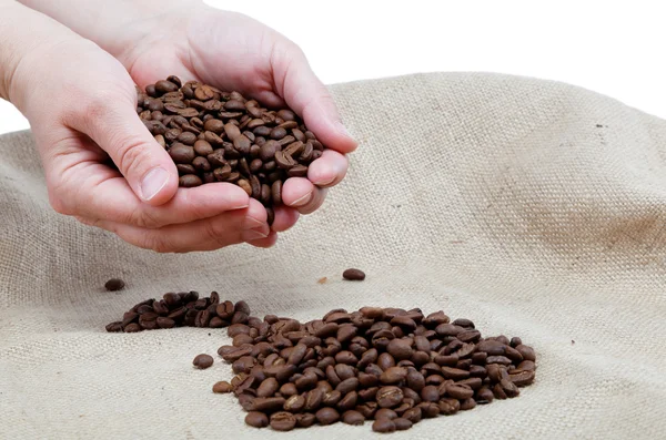 Kvinnlig hand med kaffebönor, isolerad på säckväv. — Stockfoto