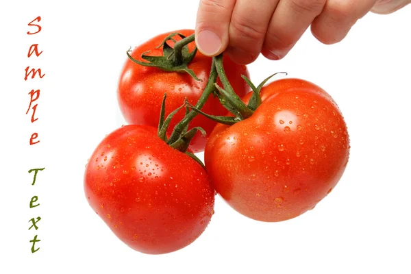 一个新鲜的西红柿，孤立的白色衬底上的美丽女人的手. — 图库照片