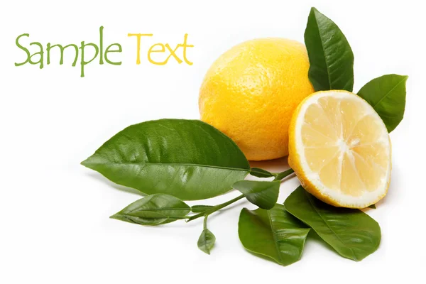 Свіжі фрукти. Лимон, ізольований на білому тлі . — стокове фото