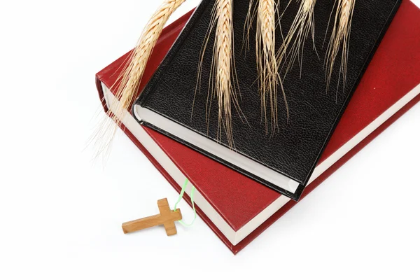 Due libri. Sacra Bibbia su sfondo bianco . — Foto Stock