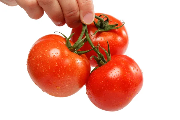 Schöne Frauenhand mit einer frischen Tomate, isoliert auf weiß. — Stockfoto