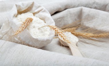 Flour and wheat grain on sackcloth clipart