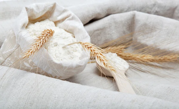 荒布小麦粉と小麦の粒 — ストック写真