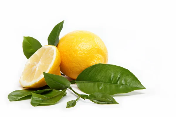 Buah segar. Lemon, terisolasi pada latar belakang putih . — Stok Foto