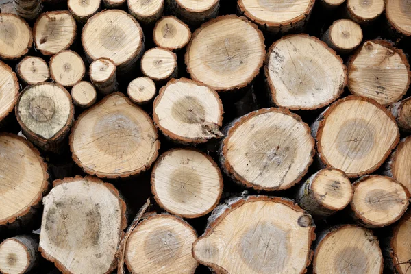 Fondo de troncos de leña picados en seco apilados en la parte superior de cada uno — Foto de Stock