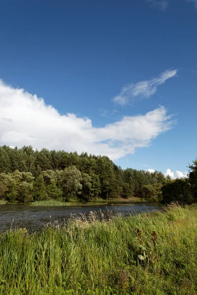 풍경-초원, 푸른 하늘 및 강 — 스톡 사진