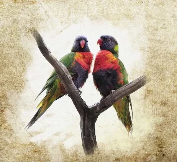 Grunge bakgrund med papegojor — Stockfoto