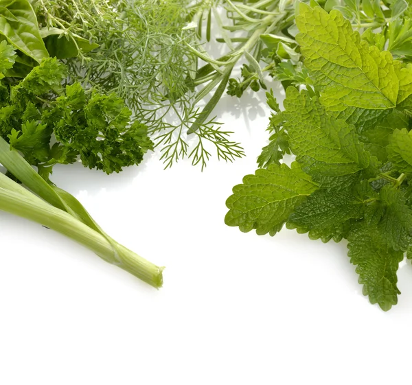 Fresh Herbs — Stock Photo, Image