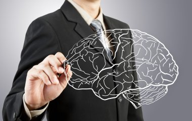 Business man drawing human brain diagram clipart