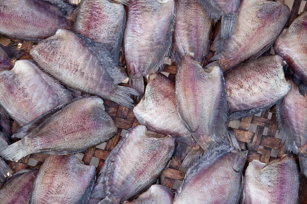 Salid Fish para venda no mercado, Tailândia — Fotografia de Stock