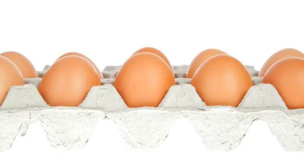 Eier in der Verpackung — Stockfoto