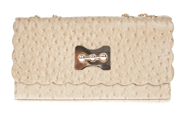 Brunt läderväska, struts hud isolerad på vit — Stockfoto