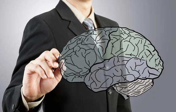 Hombre de negocios dibujando diagrama del cerebro humano —  Fotos de Stock