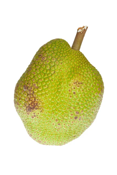 Jackfruit izolált fehér alapon — Stock Fotó