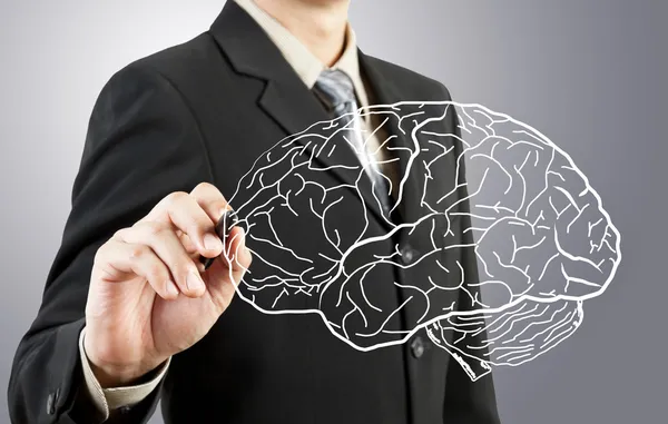 商务男人绘制人类大脑图 — 图库照片