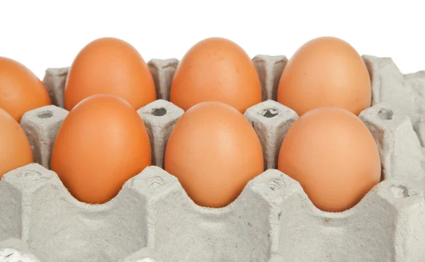 Eieren in de verpakking — Stockfoto
