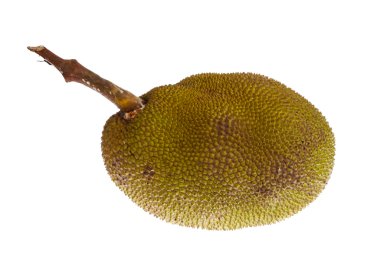 Beyaz arkaplanda Jackfruit izole