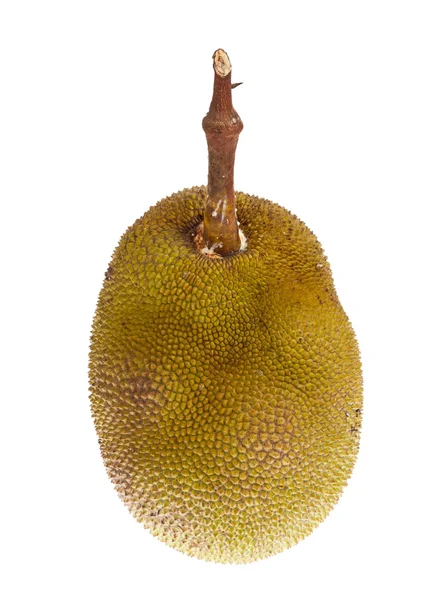 Jackfruit izolované na bílém pozadí — Stock fotografie