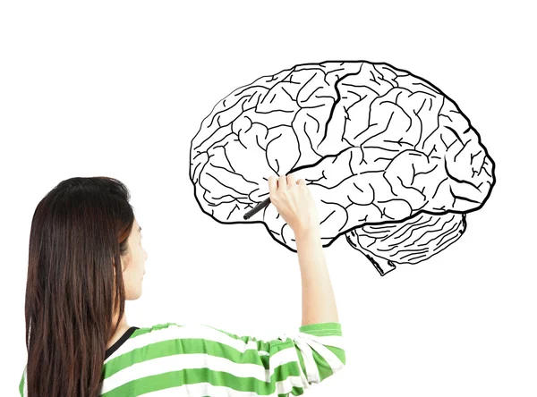 Kobieta rysunek wykres ludzkiego mózgu — Zdjęcie stockowe