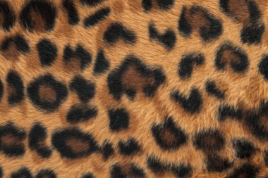 Leopard or jaguar skin pattern background clipart