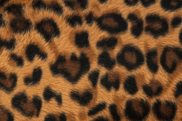豹子或捷豹皮肤图案背景 — 图库照片