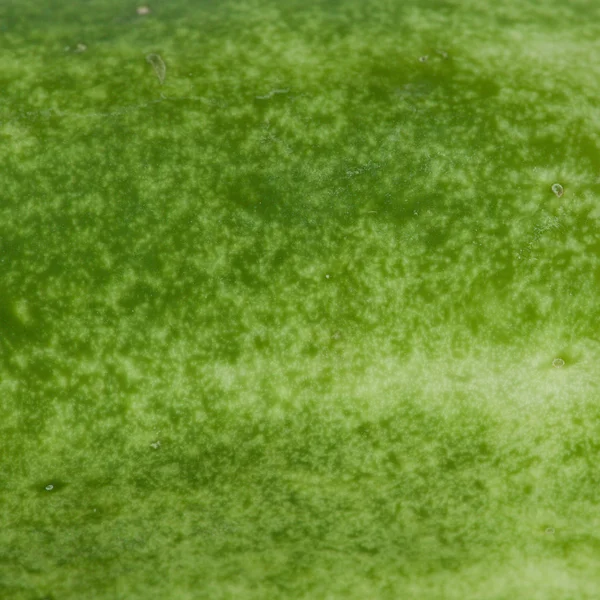 Green cucumber skin background — Stock Photo, Image