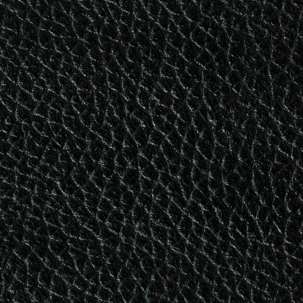 Textura de couro fundo — Fotografia de Stock