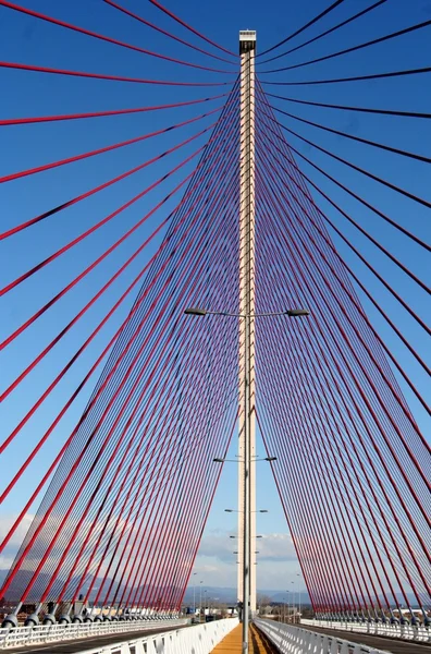 The cable-stayed bridge Talavera, a construction a dimension of 185 m — Stock Photo, Image