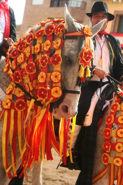 Carreras de caballos aparecidos El Carpio de Tajo, Toledo, 25 / 07 / 2012 —  Fotos de Stock