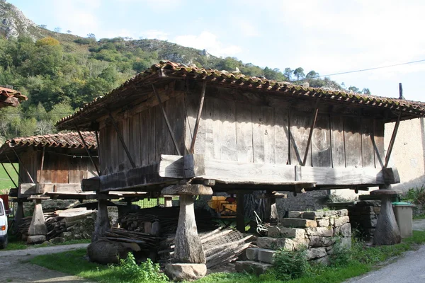 Asturian granary, Hórreo Asturian, Principality of Asturias — Stock Photo, Image