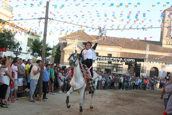 Caparisoned horse racing El Carpio de Tajo, Toledo — Stock Photo, Image