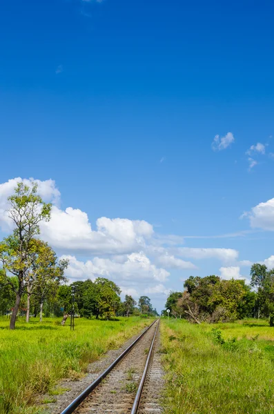 Järnväg i grönt landskap — Stockfoto
