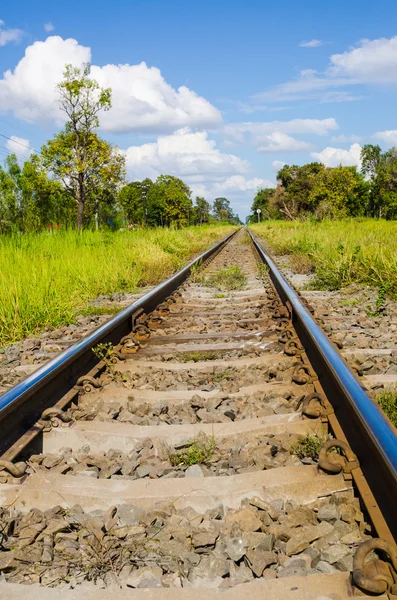Järnväg i grönt landskap — Stockfoto