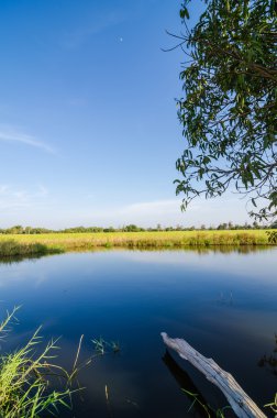 River and blue cloudy sky clipart