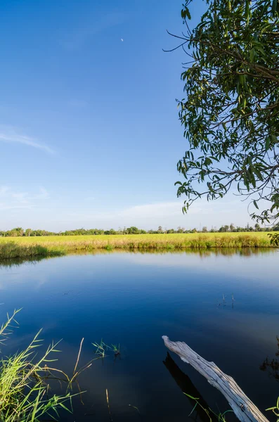 stock image River and blue cloudy sky