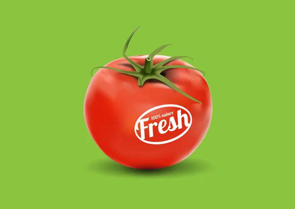 Fresh tomato — Stock Vector