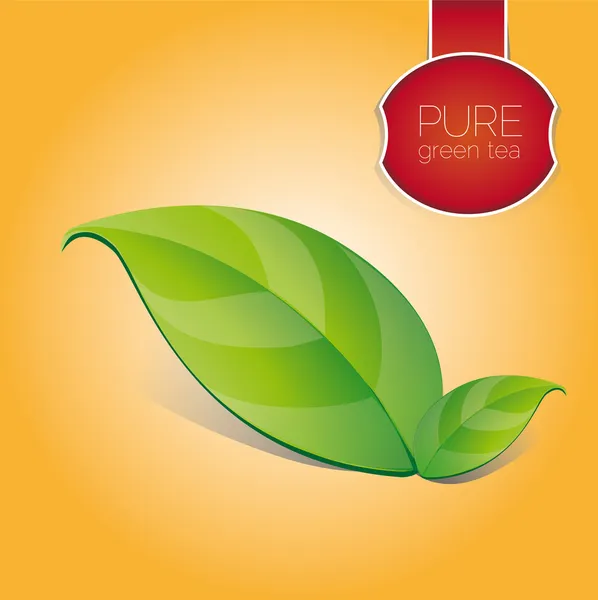 Pure green tea leaf — Stock Vector