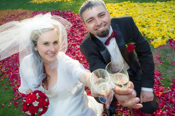Nevěsta a ženich je přípitek šampaňským — Stock fotografie